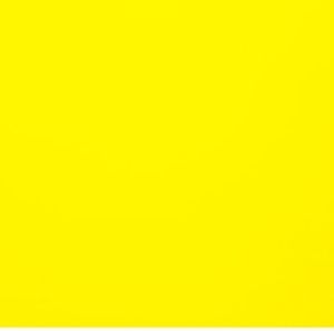 Meet your Posher, Sylviea